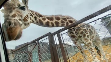 東北サファリパークに投稿された画像（2023/1/15）