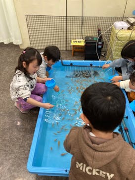 東京あそびマーレに投稿された画像（2023/1/15）