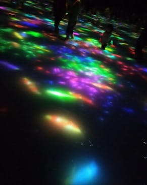 チームラボプラネッツ TOKYO DMMに投稿された画像（2023/1/15）