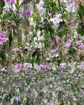 チームラボプラネッツ TOKYO DMMに投稿された画像（2023/1/15）