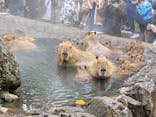 伊豆シャボテン動物公園に投稿された画像（2023/1/15）