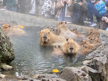 伊豆シャボテン動物公園に投稿された画像（2023/1/15）