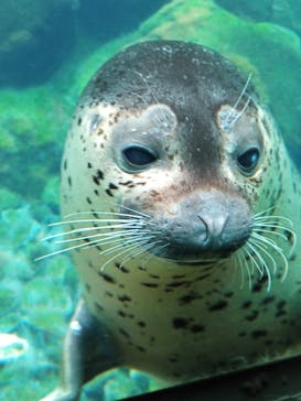 箱根園水族館に投稿された画像（2023/1/15）