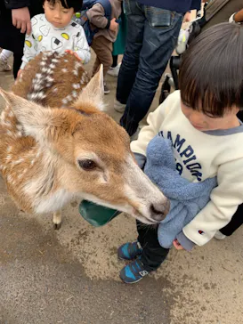 神戸どうぶつ王国に投稿された画像（2023/1/15）