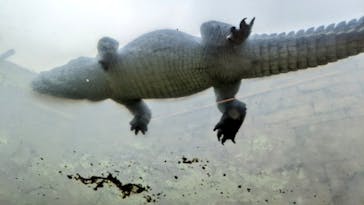 沖縄こどもの国に投稿された画像（2023/1/15）