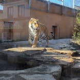 那須どうぶつ王国に投稿された画像（2023/1/15）