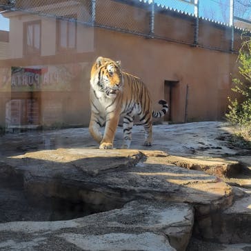 那須どうぶつ王国に投稿された画像（2023/1/15）