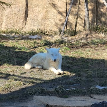 那須どうぶつ王国に投稿された画像（2023/1/15）