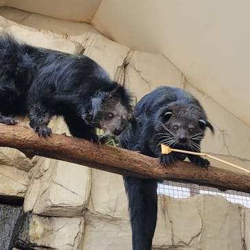 那須どうぶつ王国に投稿された画像（2023/1/15）