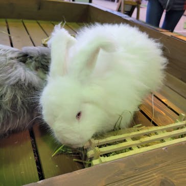 那須どうぶつ王国に投稿された画像（2023/1/15）