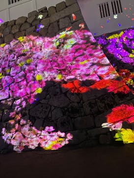 福山城400年博-FUKUYAMA CASTLE EXPO 2022- RCC開局70年 「チームラボ 福山城 光の祭」に投稿された画像（2023/1/15）