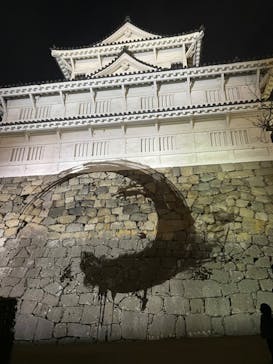 福山城400年博-FUKUYAMA CASTLE EXPO 2022- RCC開局70年 「チームラボ 福山城 光の祭」に投稿された画像（2023/1/15）
