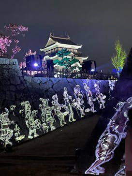 福山城400年博-FUKUYAMA CASTLE EXPO 2022- RCC開局70年 「チームラボ 福山城 光の祭」に投稿された画像（2023/1/15）