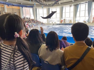 アクアワールド茨城県大洗水族館に投稿された画像（2023/1/15）