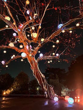 西武園ゆうえんちに投稿された画像（2023/1/15）