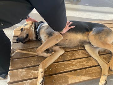 那須どうぶつ王国に投稿された画像（2023/1/15）