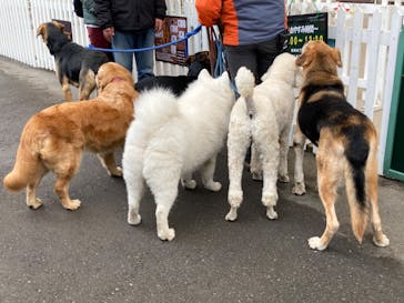 那須どうぶつ王国に投稿された画像（2023/1/15）