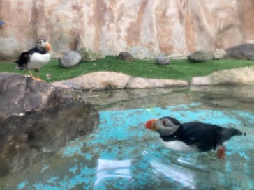 那須どうぶつ王国に投稿された画像（2023/1/15）