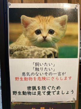 那須どうぶつ王国に投稿された画像（2023/1/15）