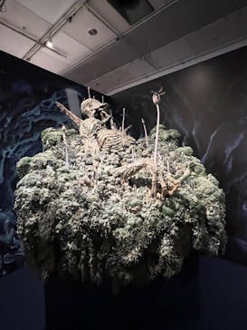 アニメージュとジブリ展に投稿された画像（2023/1/15）