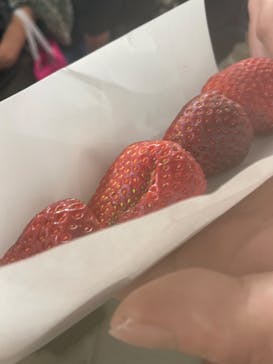 ふるさと祭り東京に投稿された画像（2023/1/15）