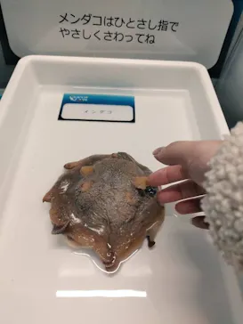 横浜・八景島シーパラダイスに投稿された画像（2023/1/15）