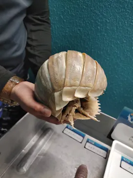 横浜・八景島シーパラダイスに投稿された画像（2023/1/15）