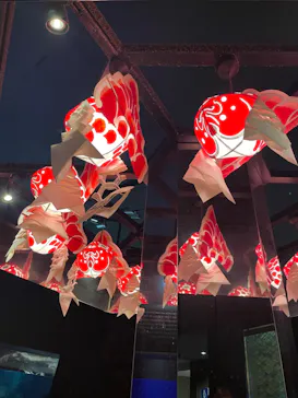 すみだ水族館に投稿された画像（2023/1/15）