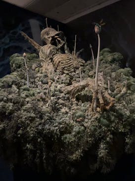 アニメージュとジブリ展に投稿された画像（2023/1/15）