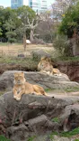 天王寺動物園に投稿された画像（2023/1/15）