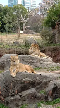 天王寺動物園に投稿された画像（2023/1/15）