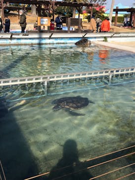 南知多ビーチランド＆南知多おもちゃ王国に投稿された画像（2023/1/15）