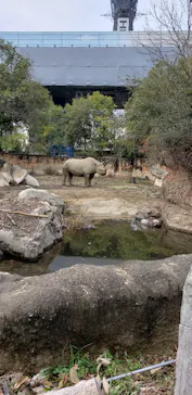 天王寺動物園に投稿された画像（2023/1/15）