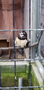 天王寺動物園に投稿された画像（2023/1/15）