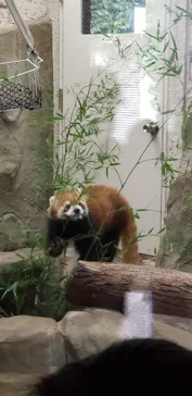 天王寺動物園に投稿された画像（2023/1/15）