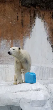 天王寺動物園に投稿された画像（2023/1/15）