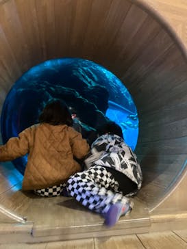 大分マリーンパレス水族館 「うみたまご」に投稿された画像（2023/1/15）