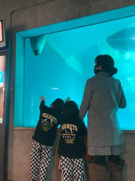 大分マリーンパレス水族館 「うみたまご」に投稿された画像（2023/1/15）