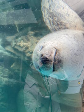 京都水族館に投稿された画像（2023/1/15）