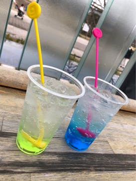 京都水族館に投稿された画像（2023/1/15）