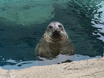 京都水族館に投稿された画像（2023/1/15）