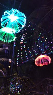 大阪府立花の文化園に投稿された画像（2023/1/15）