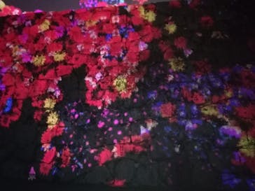 福山城400年博-FUKUYAMA CASTLE EXPO 2022- RCC開局70年 「チームラボ 福山城 光の祭」に投稿された画像（2023/1/15）