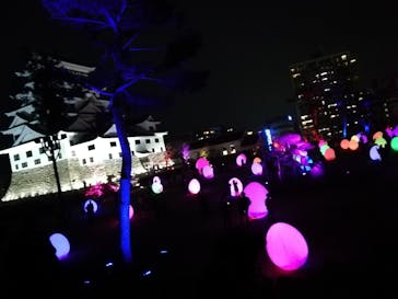 福山城400年博-FUKUYAMA CASTLE EXPO 2022- RCC開局70年 「チームラボ 福山城 光の祭」に投稿された画像（2023/1/15）
