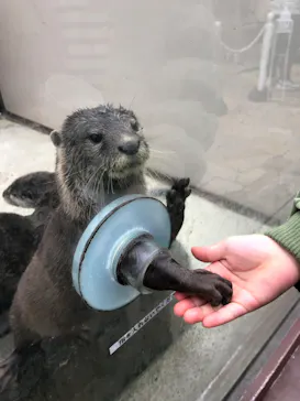 横浜・八景島シーパラダイスに投稿された画像（2023/1/15）