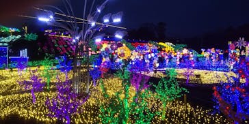 伊豆ぐらんぱる公園に投稿された画像（2023/1/15）