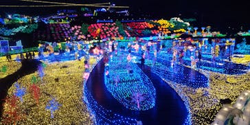 伊豆ぐらんぱる公園に投稿された画像（2023/1/15）