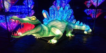 伊豆ぐらんぱる公園に投稿された画像（2023/1/15）