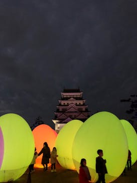 福山城400年博-FUKUYAMA CASTLE EXPO 2022- RCC開局70年 「チームラボ 福山城 光の祭」に投稿された画像（2023/1/15）