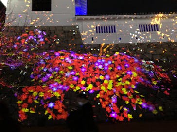 福山城400年博-FUKUYAMA CASTLE EXPO 2022- RCC開局70年 「チームラボ 福山城 光の祭」に投稿された画像（2023/1/15）